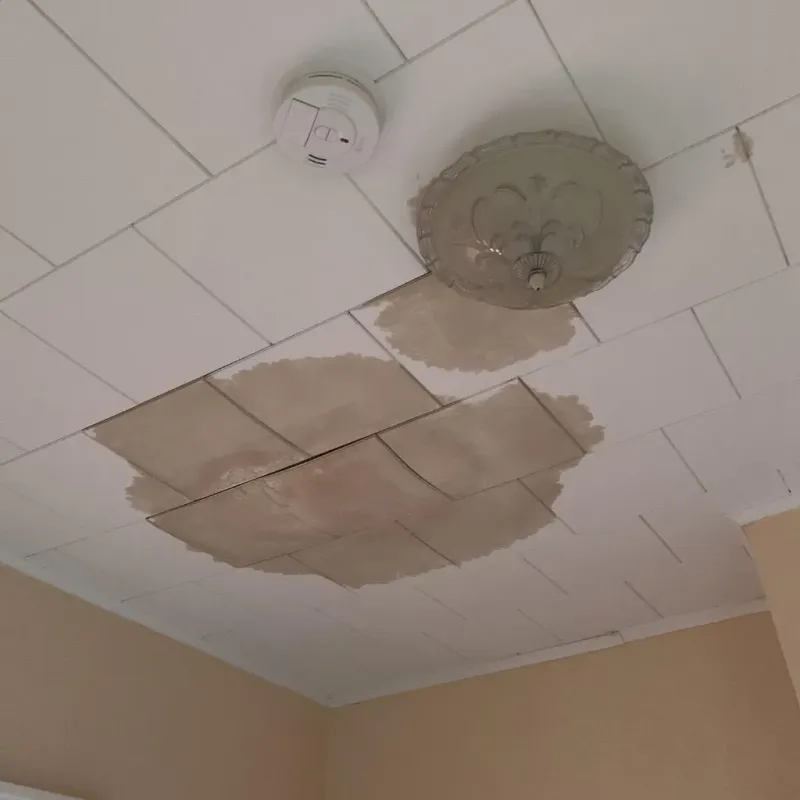 Ceiling Water Damage Repair in Wolfdale, PA