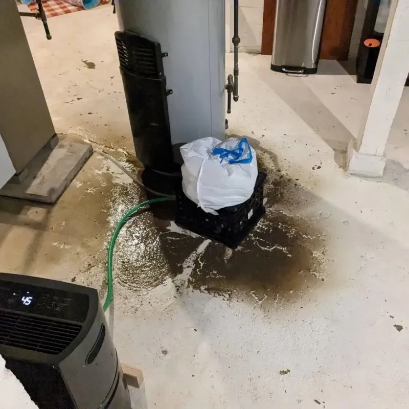 Sewage Backup Cleanup Service in Wolfdale, PA
